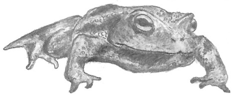 oĂqLKG